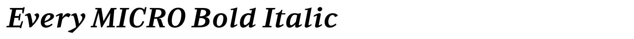 Every MICRO Bold Italic image